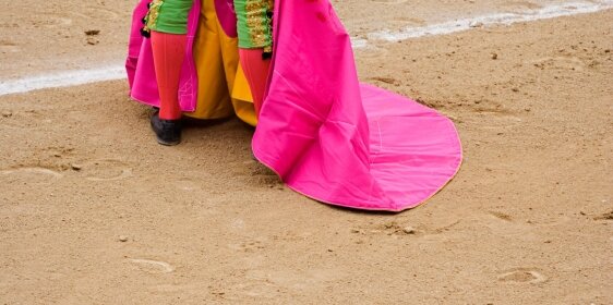 EU to stop financing bullfighting activities